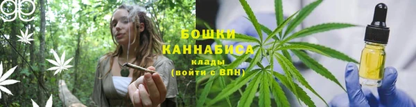 сатива Волосово