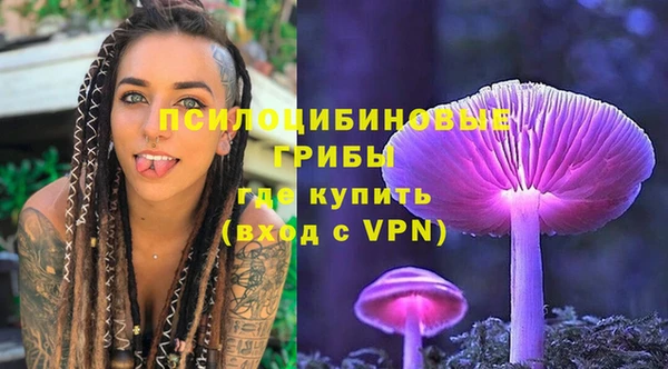 сатива Волосово